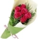 6-pink-roses-pakistan-sydney-nsw-australia-birthday-flowers-gift