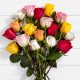 assorted beautiful rainbow roses for anniversary birthday i love you just because gift present from Pakistan to USA
