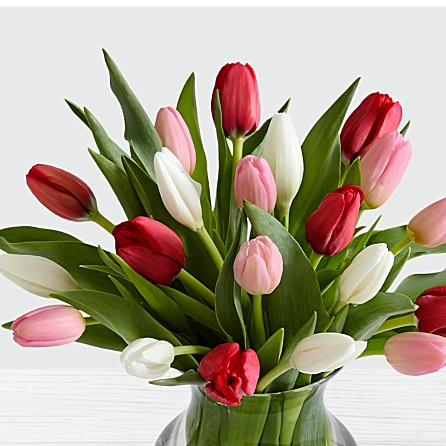 sweetheart tulips for anniversary birthday get well soon well wishes from KHI ISB PEW UET to NC DE HI