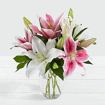 anniversary budding form of lilies for thinking of you sibling gift get well soon to USA from Pakistan