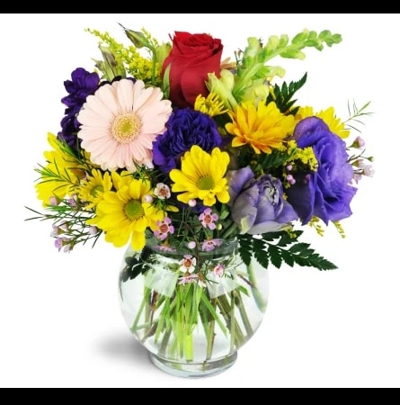 a-touch-of-bliss-Flowers to Toronto, Mississauga, Ontario, Alberta, Calgary, Hamilton, Ottawa, Montreal, Winnipeg allover Canada from Karachi, Lahore, Islamabad Pakistan
