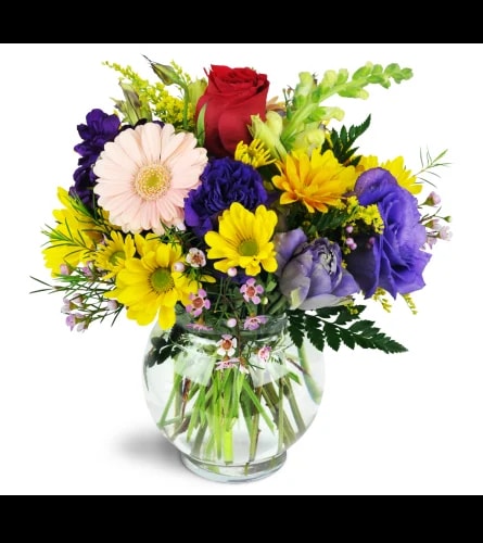 a-touch-of-bliss-Flowers to Toronto, Mississauga, Ontario, Alberta, Calgary, Hamilton, Ottawa, Montreal, Winnipeg allover Canada from Karachi, Lahore, Islamabad Pakistan
