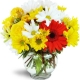 bright-delight-Flowers to Toronto, Mississauga, Ontario, Alberta, Calgary, Hamilton, Ottawa, Montreal, Winnipeg allover Canada from Karachi, Lahore, Islamabad Pakistan