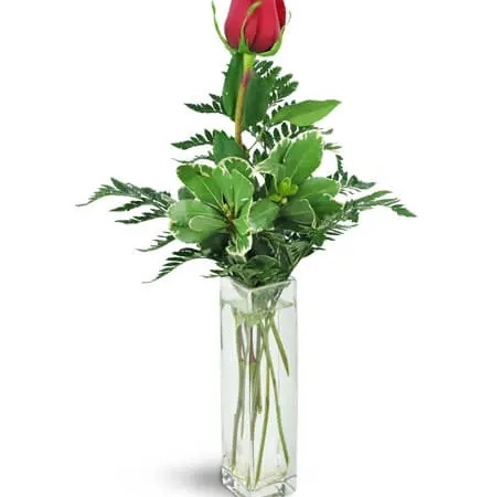 forever-together-single-red-rose-flower-Flowers to Toronto, Mississauga, Ontario, Alberta, Calgary, Hamilton, Ottawa, Montreal, Winnipeg allover Canada from Karachi, Lahore, Islamabad Pakistan