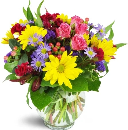 joyful-thanks-Flowers to Toronto, Mississauga, Ontario, Alberta, Calgary, Hamilton, Ottawa, Montreal, Winnipeg allover Canada from Karachi, Lahore, Islamabad Pakistan