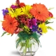 sunglow-blooms-Flowers to Toronto, Mississauga, Ontario, Alberta, Calgary, Hamilton, Ottawa, Montreal, Winnipeg allover Canada from Karachi, Lahore, Islamabad Pakistan